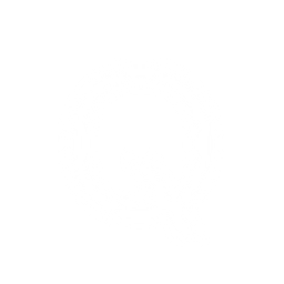 pilot_quantflow logo