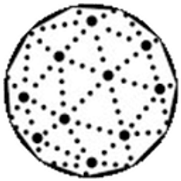 velane logo