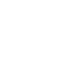 centian logo