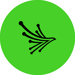 black_kite_ai logo